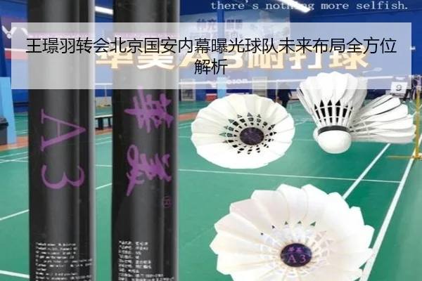 王璟羽转会北京国安内幕曝光球队未来布局全方位解析